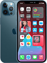 Best available price of Apple iPhone 12 Pro Max in Newzealand
