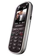 Best available price of Motorola WX288 in Newzealand