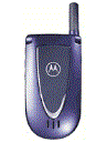 Best available price of Motorola V66i in Newzealand
